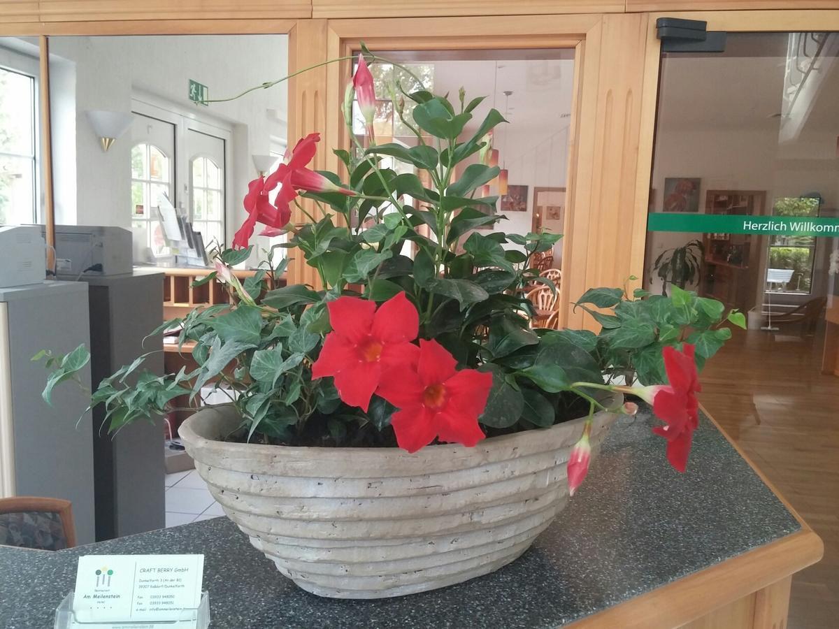 Dunkelforth Hotel Am Meilenstein מראה חיצוני תמונה